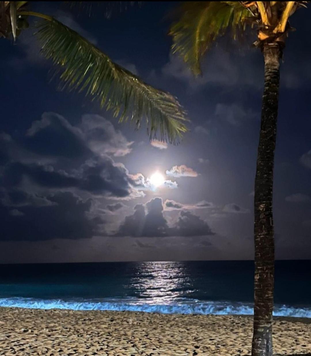 Maraca Beach Residence Ll Ap 220 Pôrto das Galinhas Dış mekan fotoğraf